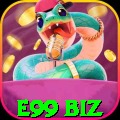 e99 biz King v3.6.6