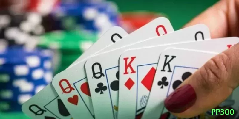 pp300 Pro - Free Download Screenshot 1